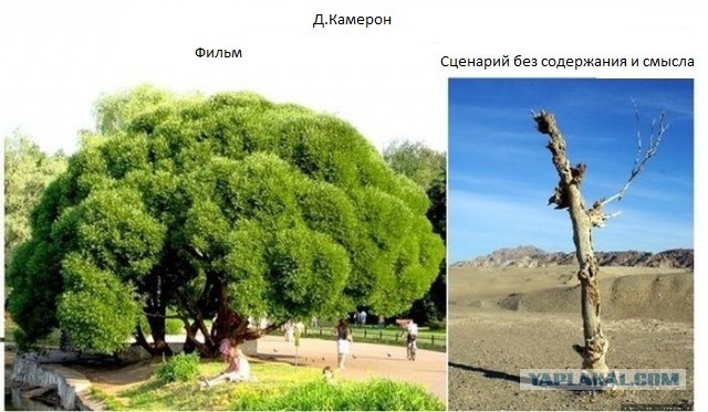 Книга vs Фильм