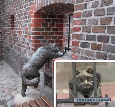 В Мурманске появился памятник коту Семену