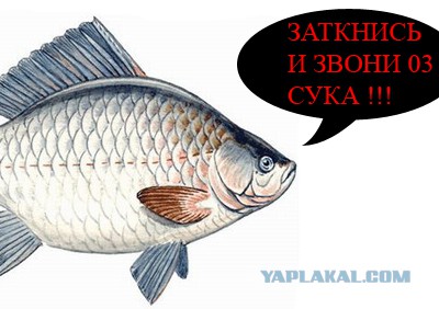 Полицейским "подарок" со встречки прилетел ...