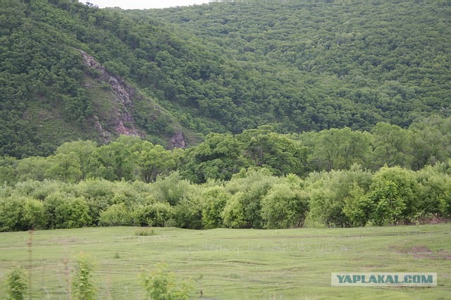 Природа Приморского края