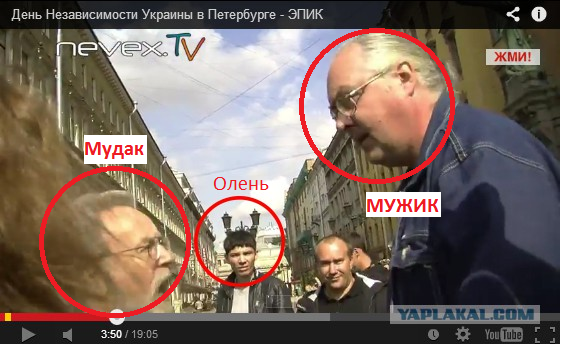 День Независимости Украины в Петербурге