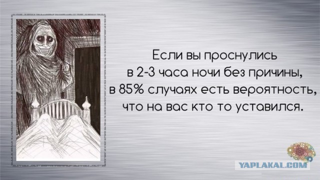 Неизвестные факты обо всём