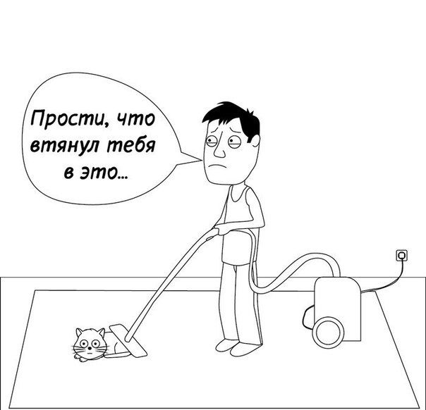 Этот кот любит, когда его пылесосют :)