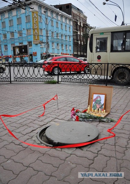 Черепашки недовольны