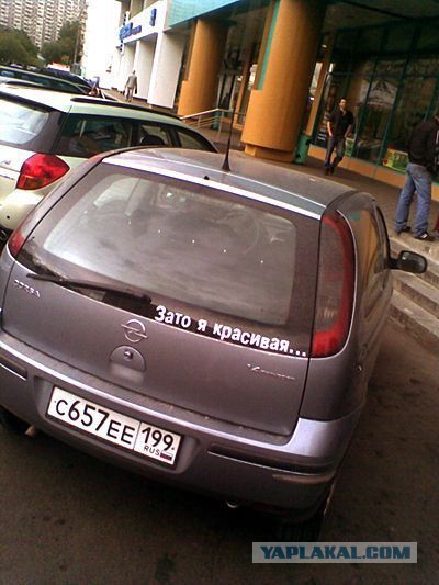 Весёлое из сети
