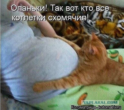 Смешные картинки