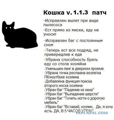 Кошка не даёт малышу заскучать