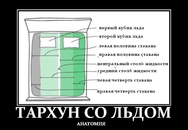 Картинок из сети немножко