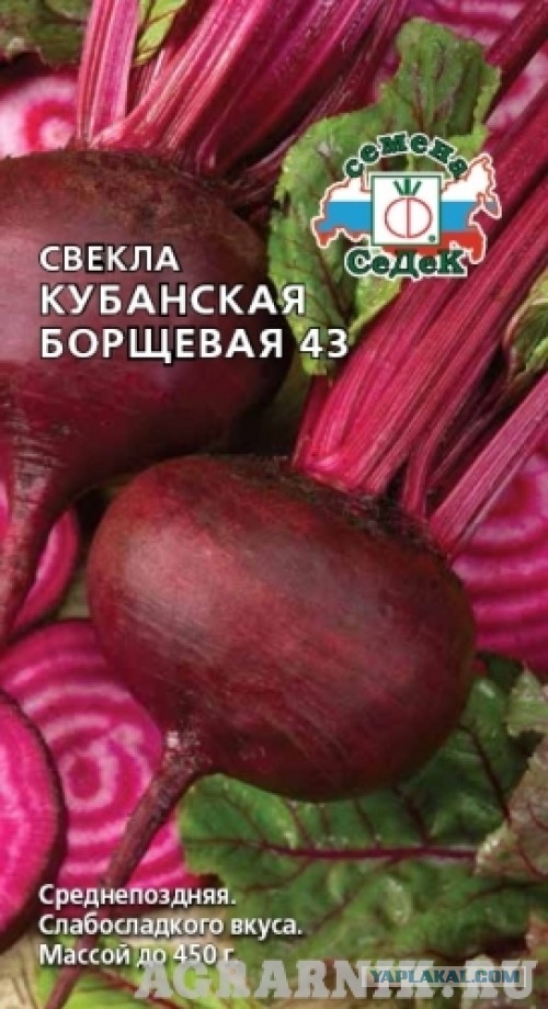 Борщеbattle, кулинарная битва
