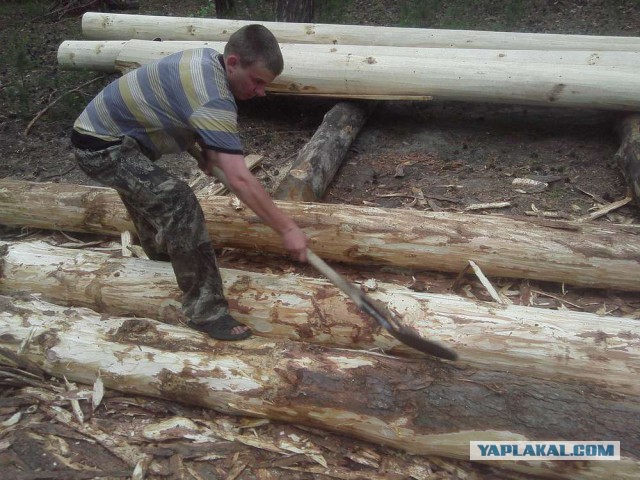 Строительство рубленной бани из кедра