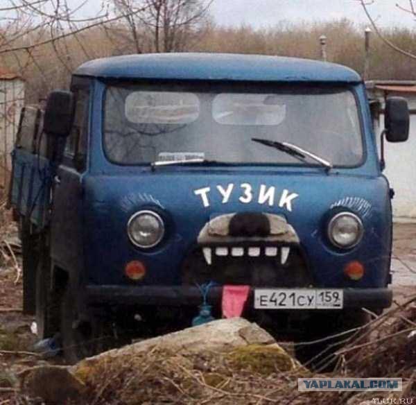 Прикольные картинки