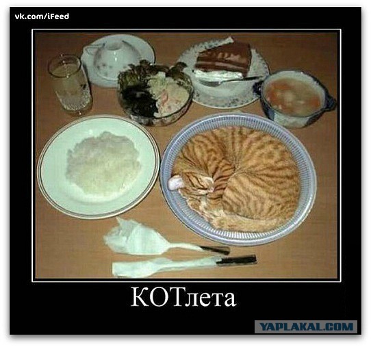 Хоть и не котовторник