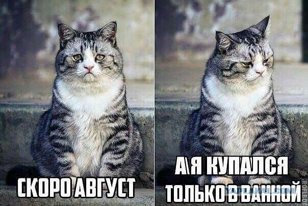 Пока не закончилось лето, постарайтесь успеть...
