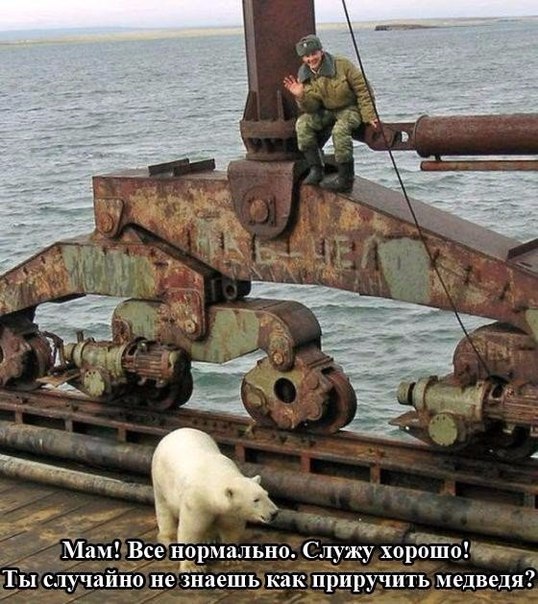 Позитив на воскресенье