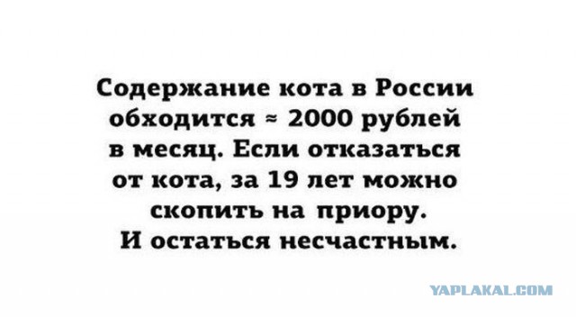 Звучит банально, но... "она сама упала" (с)