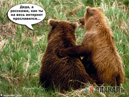 жЭвотные фото