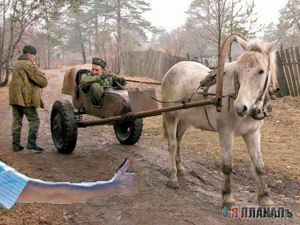 АРМИЯ, падонки с оружием. Солдаты, матросы и т.п.