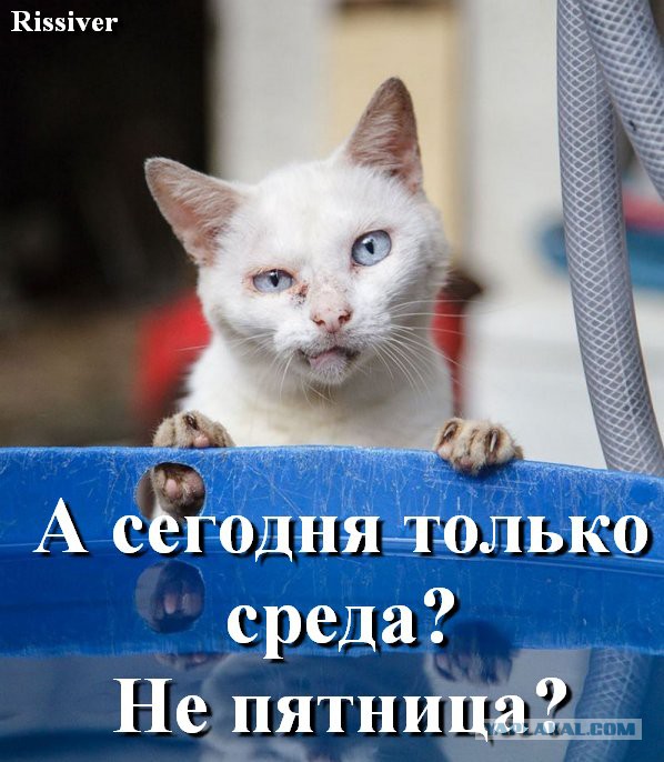 Фотоподборка (19.04.16)