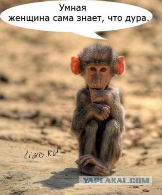 Любую ли женщину можно купить?