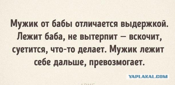 Картинки из интернетов