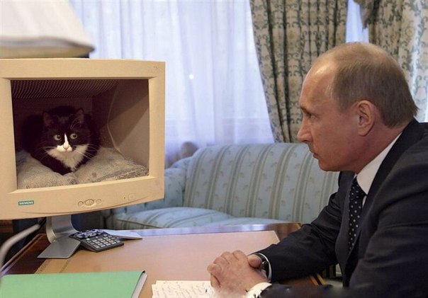 Подборка интересных и веселых картинок