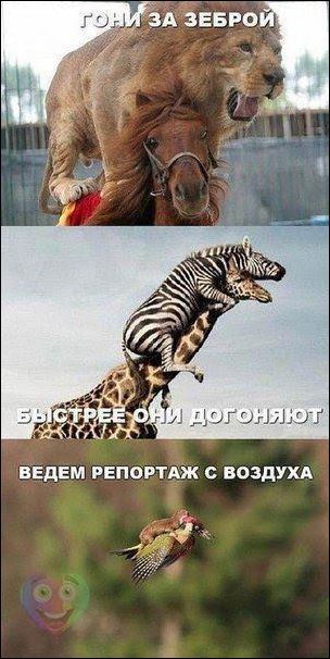 Пятничная деградация! Ура, товарищи!