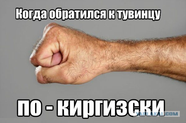 Коротко обо всех