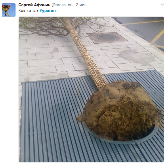 В Москве ураган!