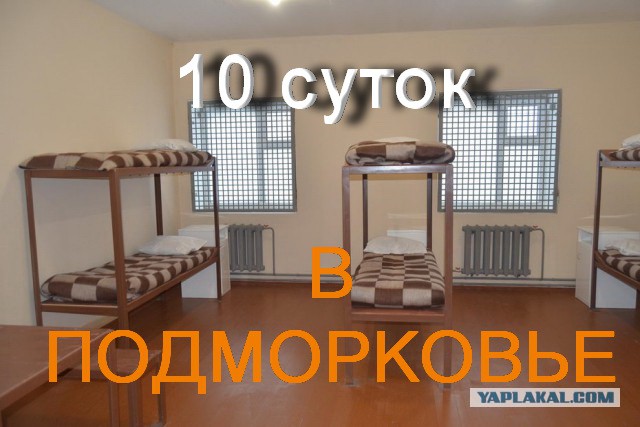 Современные 10 суток административки в подмосковье