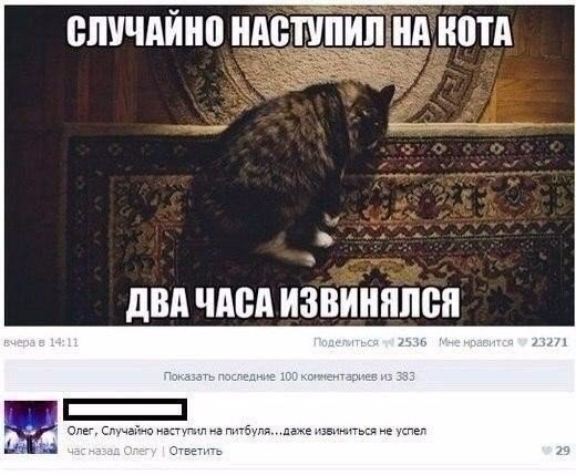 150 картинки для поднятия настроения!