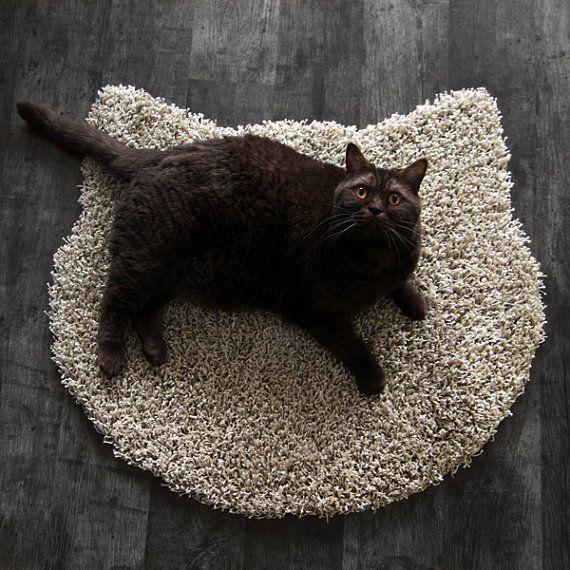 Коты и Кошки