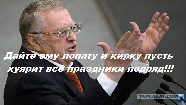 Жириновский предложил отменить новогодние каникулы