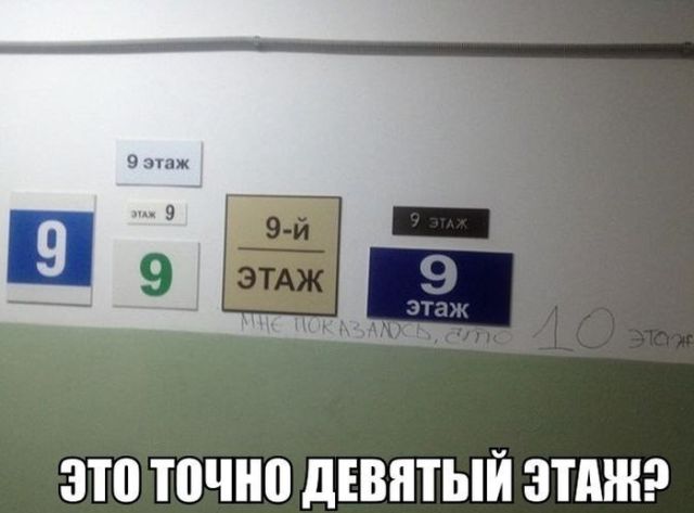 Подборка интересных и веселых картинок
