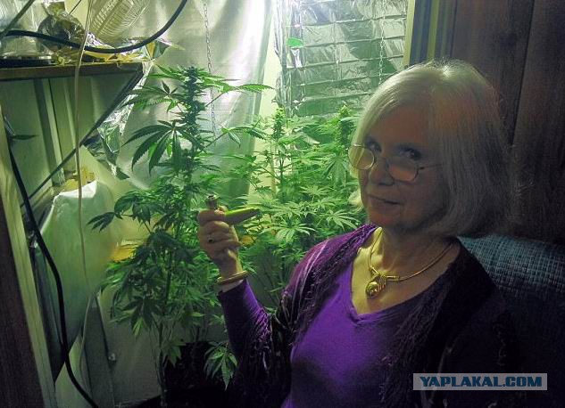 «Конопляная» бабушка: 50 лет на марихуане