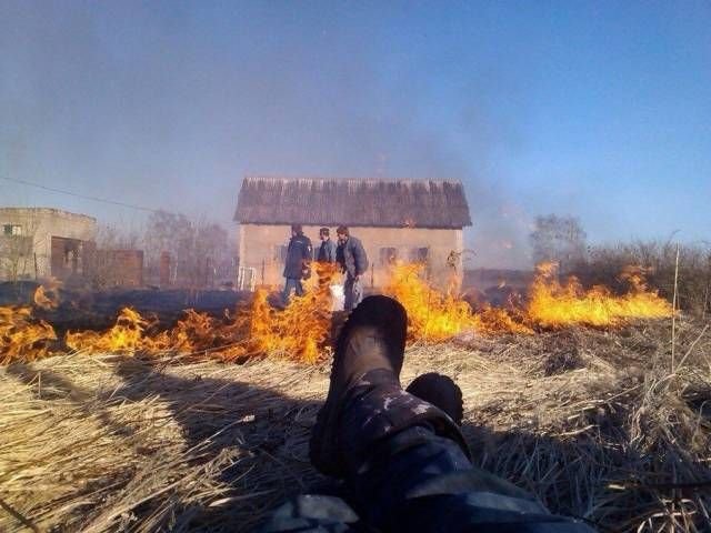 Подборка интересных и веселых картинок