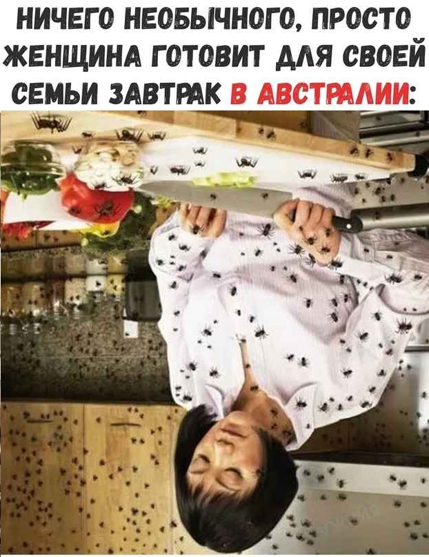 Немного картинок на вечер