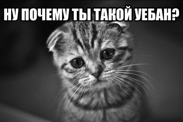 Кого звать, если...