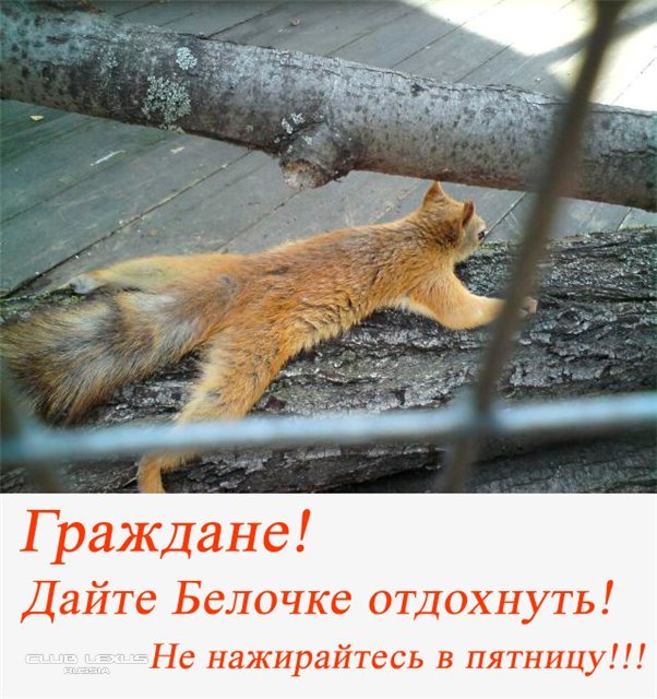 Традиционный пятничный алкопост