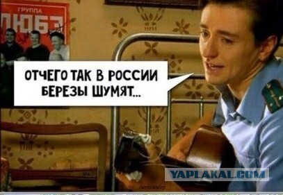 Во поле березка стояла, во поле вонючая стояла...