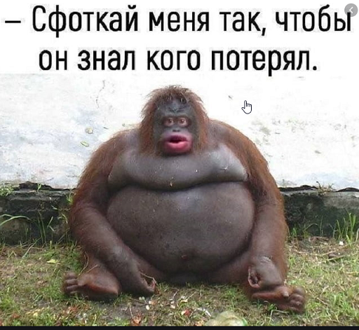 Зачем тратить деньги на цирк?