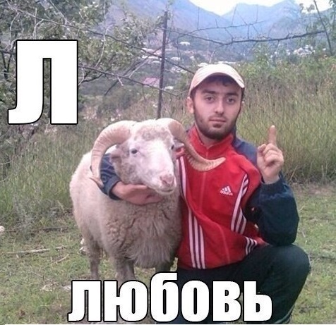 Назад давай, откуда приехал