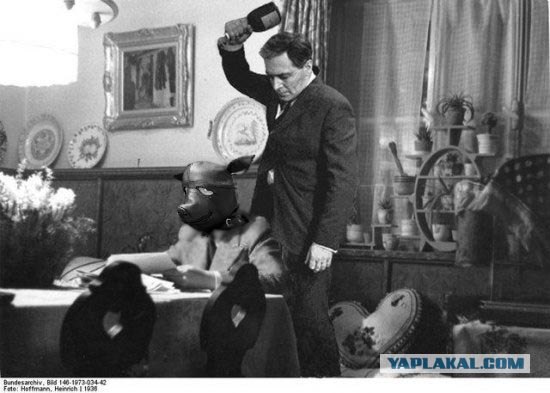 Фотожаба: Штирлиц - мой герой
