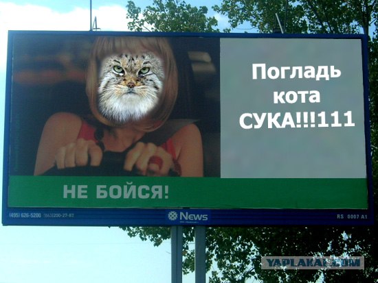 Фотожаба: Не бойся!