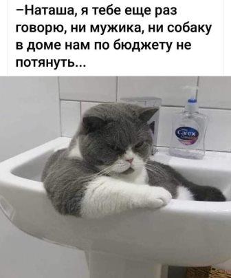 Что раздражает мужчин в женщинах: 13 топ-недостатков