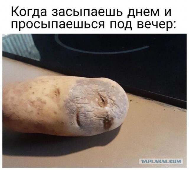 С миру по нитке 8.12.20