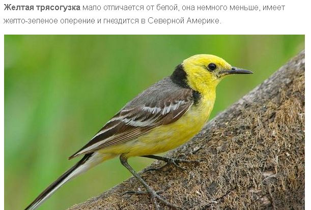 Пятничные кубики без политики