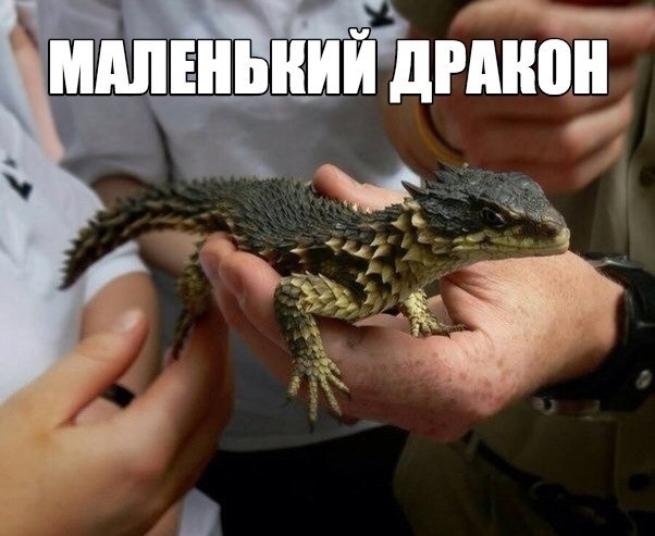 Так себе картинки 04.06.21