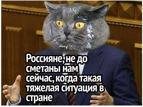 Границы заботы нашей власти о нашем благополучии достойны того , чтоб им зарплату повысили хотя бы на размер инфляции