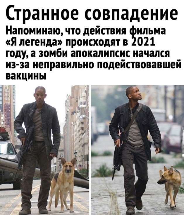 Чуток картинок 22.12.21