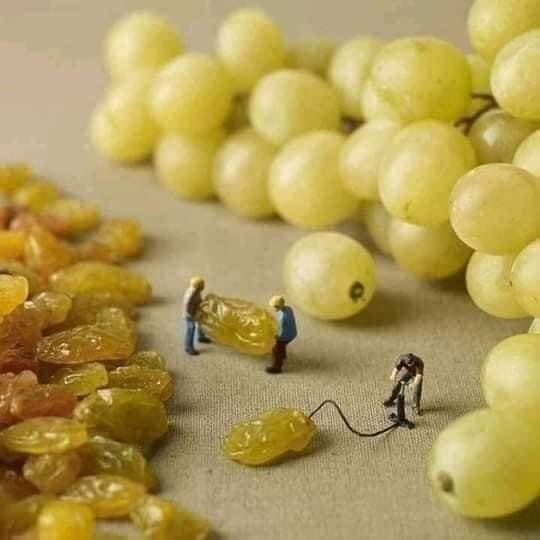 Фантазия на 5 баллов
